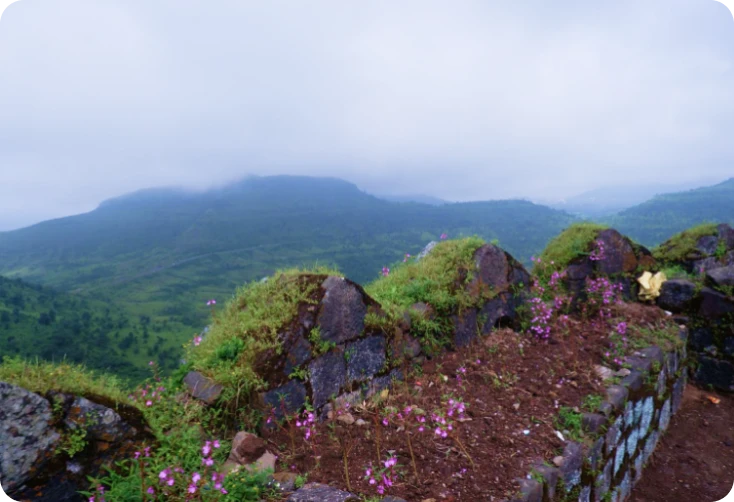 Western Ghats